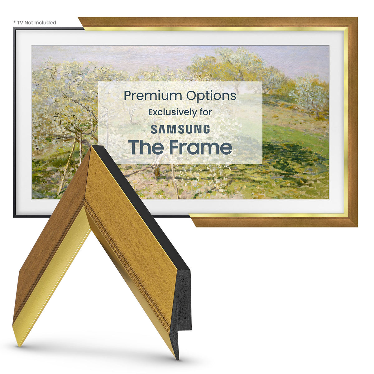 Modern Gold Leaf - OPEN BOX