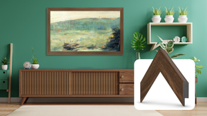 Museum Walnut (2017-2020)