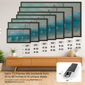 samsung the frame anodized black alloy scoop frame