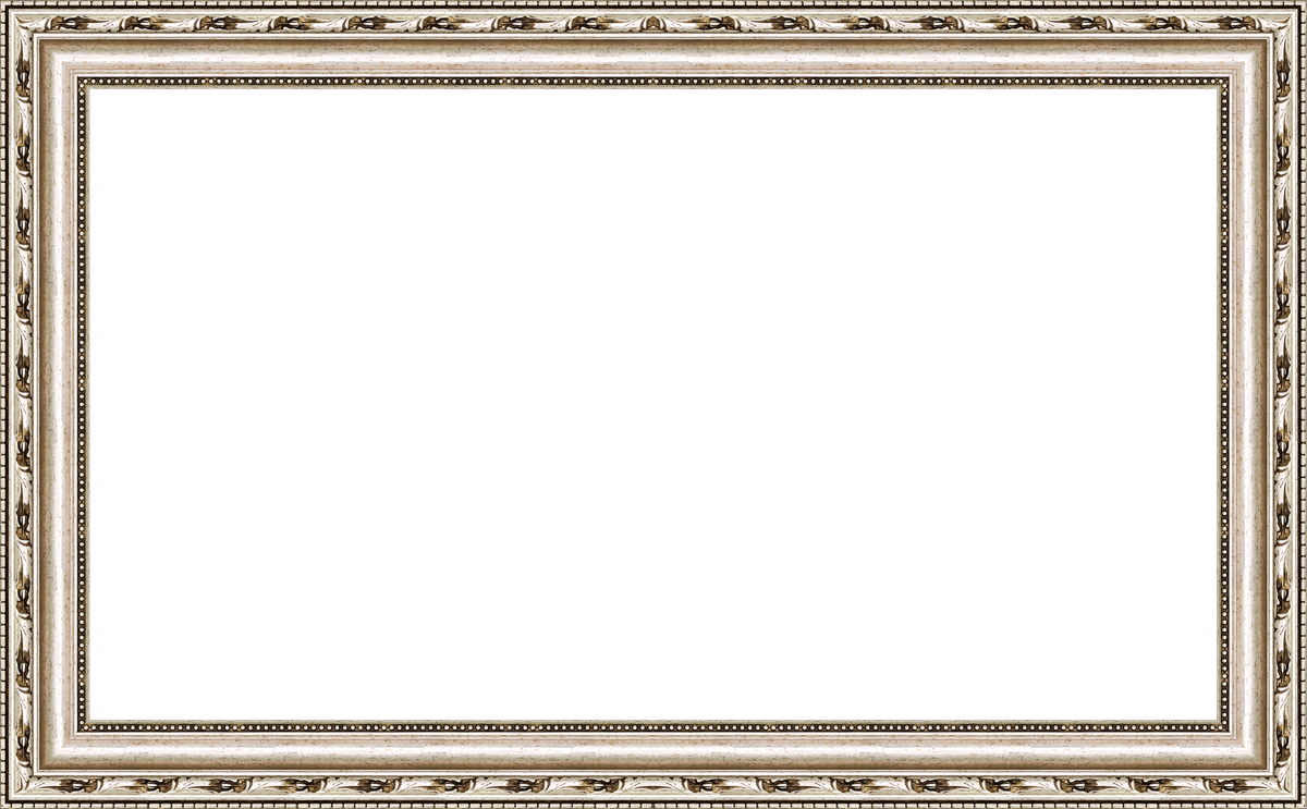 Plata adornada - CAJA ABIERTA