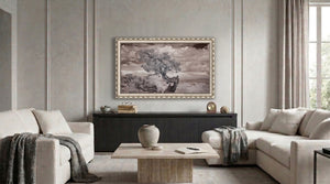 Deco TV Frames Samsung the Frame TV Ornate Silver