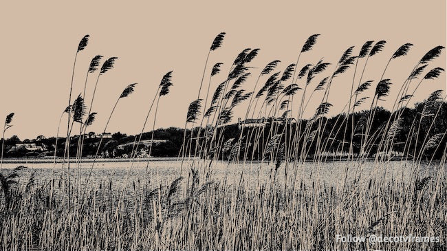 Abstract landscape02