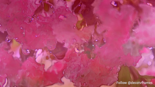 Abstract Crepe Myrtle