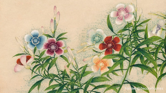 Pinks (18th Century)