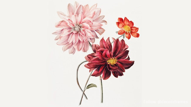 Dahlias by Willem Hekking