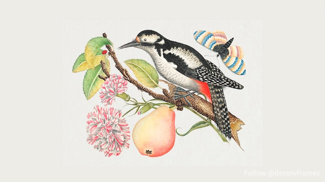 L&#39;illustration du XVIIIe siècle d&#39;un oiseau perché sur une branche qui porte une poire, des fleurs rouges et blanches et des feuilles avec une coccinelle et un papillon dans le coin supérieur droit 